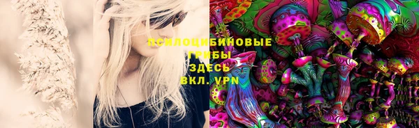 прущая мука Абаза