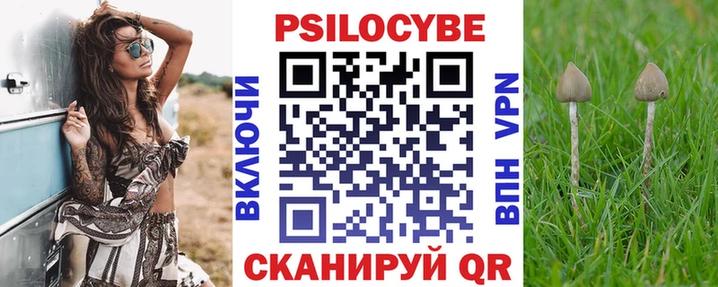 Псилоцибиновые грибы прущие грибы  даркнет официальный сайт  Правдинск 