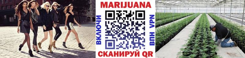Шишки марихуана VHQ  Правдинск 